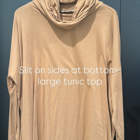 Tan Long Sleeve Tunic Top - Picture 1 of 1